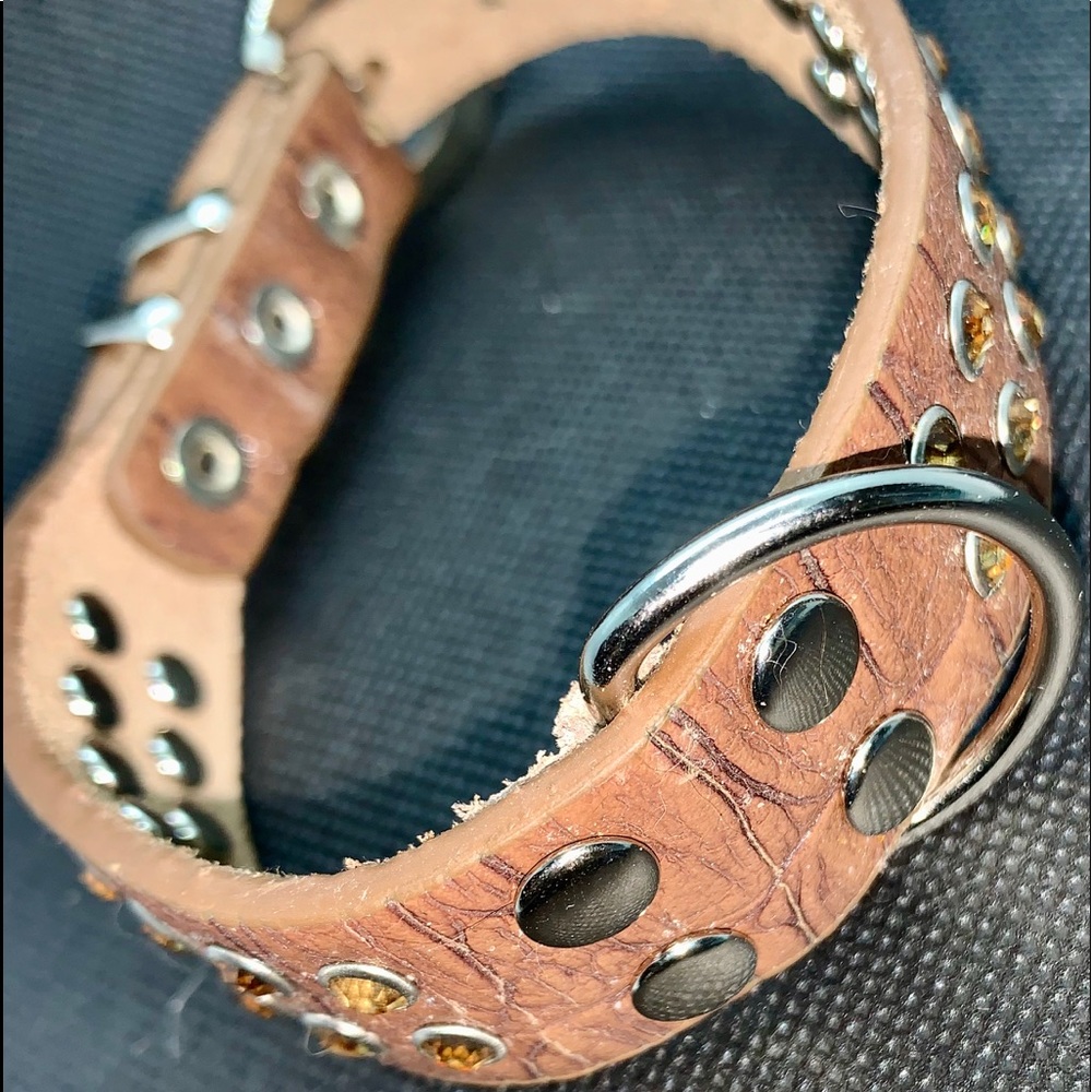 Leather Dog collar